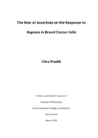 The role of ascorbate on the response to hypoxia in breast cancer cells