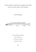 Growth, energetics, and life history of southern New Zealand Galaxias maculatus (Jenyns, 1842) Galaxiidae