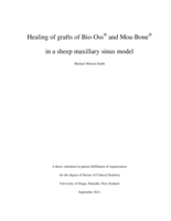 Healing of grafts of BioOss® and MoaBone® in a sheep maxillary sinus model