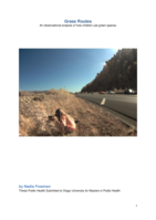 Grass Routes: An observational analysis of how children use green spaces