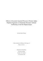 Effects of Secreted Amyloid Precursor Protein-Alpha Peptide Fragments on Glutamate Receptor Subunit Trafficking in the Rat Hippocampus