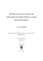 Water level fluctuation and vegetation patterns within an alpine wetland complex
