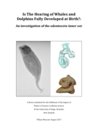 Is The Hearing of Whales and Dolphins Fully Developed at Birth?:  An investigation of the odontocete inner ear