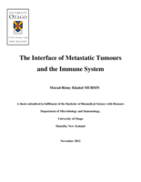 The Interface of Metastatic Tumours and the Immune System