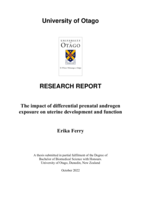 The impact of differential prenatal androgen exposure on uterine development and function