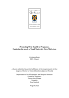 Promoting oral health in pregnancy. Exploring the needs of lead maternity care midwives