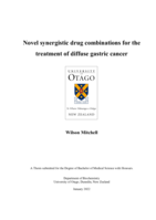 Novel synergistic drug combinations for the treatment of diffuse gastric cancer