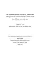 The reciprocal interplay between Ca2+ handling and redox proteins in slow-twitch and fast-twitch muscle from WT and dystrophic mice