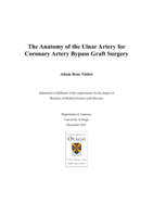 The Anatomy of the Ulnar Artery for Coronary Artery Bypass Graft Surgery