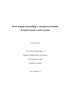 Brain Regions Responding to Endogenous Prolactin during Pregnancy and Lactation