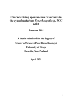 Characterising spontaneous revertants in the cyanobacterium Synechocystis sp. PCC 6803