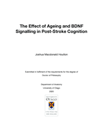 The effect of ageing and BDNF signalling in post-stroke cognition