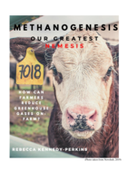 Methanogenesis, our greatest nemesis: How can farmers reduce greenhouse gases on-farm?