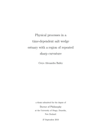 Physical processes in a time-dependent salt wedge estuary with a region of repeated sharp curvature