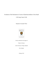 Evaluation of the Mechanism of Action of Spiroleucettadine in Non-Small Cell Lung Cancer Cells