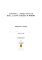 Conceptual Understanding of Simultaneous Matching in Pigeons