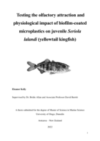 Testing the olfactory attraction and physiological impact of biofilm-coated microplastics on juvenile Seriola lalandi (yellowtail kingfish)