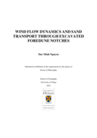 Wind flow dynamics and sand transport through excavated foredune notches