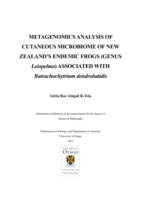Metagenomics analysis of cutaneous microbiome of New Zealand’s endemic frogs (Genus Leiopelma) associated with Batrachochytrium dendrobatidis