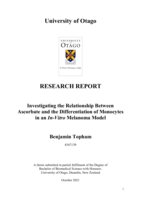 Investigating the Relationship Between Ascorbate and the Differentiation of Monocytes in an In-Vitro Melanoma Model
