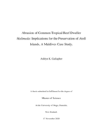 Abrasion of Common Tropical Reef Dweller Halimeda: Implications for the Preservation of Atoll  Islands, A Maldives Case Study.