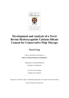 Development and analysis of a novel bovine hydroxyapatite calcium silicate cement for conservative pulp therapy