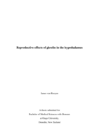 Reproductive effects of ghrelin in the hypothalamus