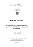 Sex-dimorphic DNA methylation, isoform expression and WT1 binding during gonad development