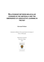 Relationship between molecular changes in the amygdala and the emergence of associative learning in the rat