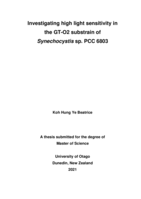 Investigating high light sensitivity in the GT-O2 substrain of Synechocystis sp. PCC 6803
