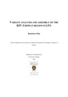 Variant analysis and assembly of the KIV-2 repeat region in LPA