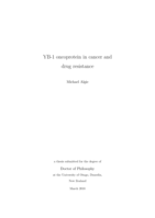 YB-1 oncoprotein in cancer and drug resistance