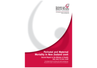Perinatal and Maternal Mortality in New Zealand 2006 - Second report to the Minister of Health July 2007 to June 2008