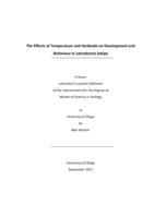 The Effects of Temperature and Herbicide on Development and Behaviour in Latrodectus katipo