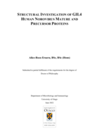 Structural investigation of GII.4 human norovirus mature and precursor proteins
