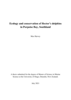 Ecology and conservation of Hector's dolphins in Porpoise Bay, Southland