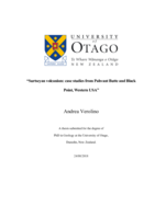 Surtseyan volcanism: case studies from Pahvant Butte and Black Point, Western USA