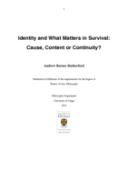 Identity and What Matters in Survival: Cause, Content or Continuity?