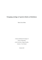 Foraging ecology of sperm whales at Kaikōura
