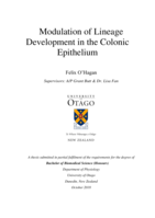 Modulation of Lineage Development in the Colonic Epithelium