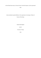 A School-Based Intervention to Promote Positive Youth Development: A pilot experimental study
