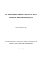 The Morphology and Impact on Feeding of the Lateral Line System of the Gobiomorphus genus