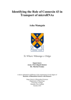 Identifying the role of connexin 43 in transport of microRNAs