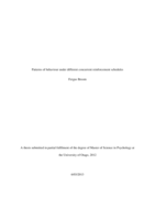 Patterns of behaviour under different concurrent reinforcement schedules