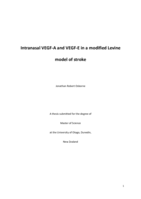Intranasal VEGF-A and VEGF-E in a modified Levine model of stroke