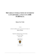 Metabolic interactions of synthetic cannabinoids: A focus on AMB-FUBINACA