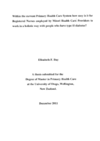Within the current Primary Health System how easy is it for Registered Nurses employed by Māori Health Care Providers to work in a holistic way with people who have type II diabetes?