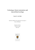 Nothofagus forest restoration and mycorrhizal ecology