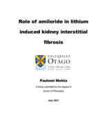 Role of amiloride in lithium induced kidney interstitial fibrosis