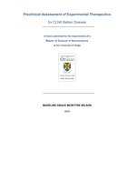 Preclinical Assessment of Experimental Therapeutics for CLN6 Batten Disease